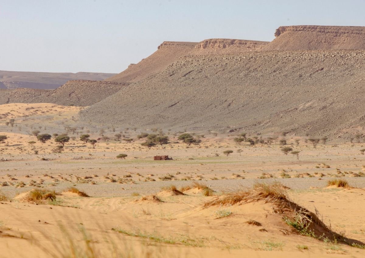 Best time to visit morocco tours with expert local guides and unforgettable travel moments