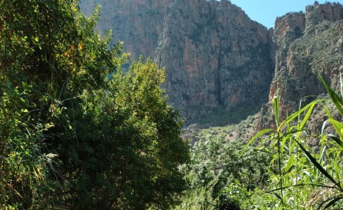 Asni & Ouirgane Valley Day Trip from Marrakech