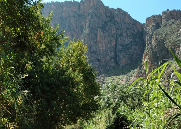 Asni & Ouirgane Valley Day Trip from Marrakech
