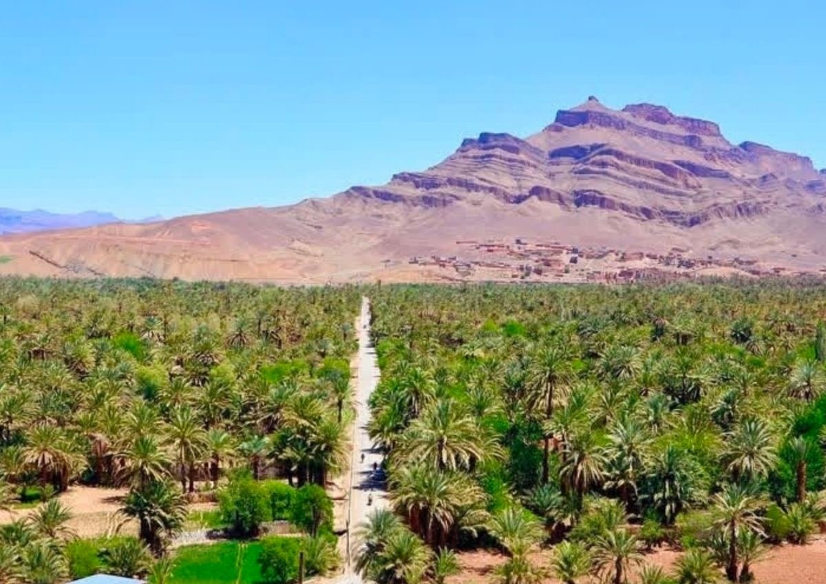 Fes to merzouga desert tour through golden sand dunes under a starlit Sahara sky