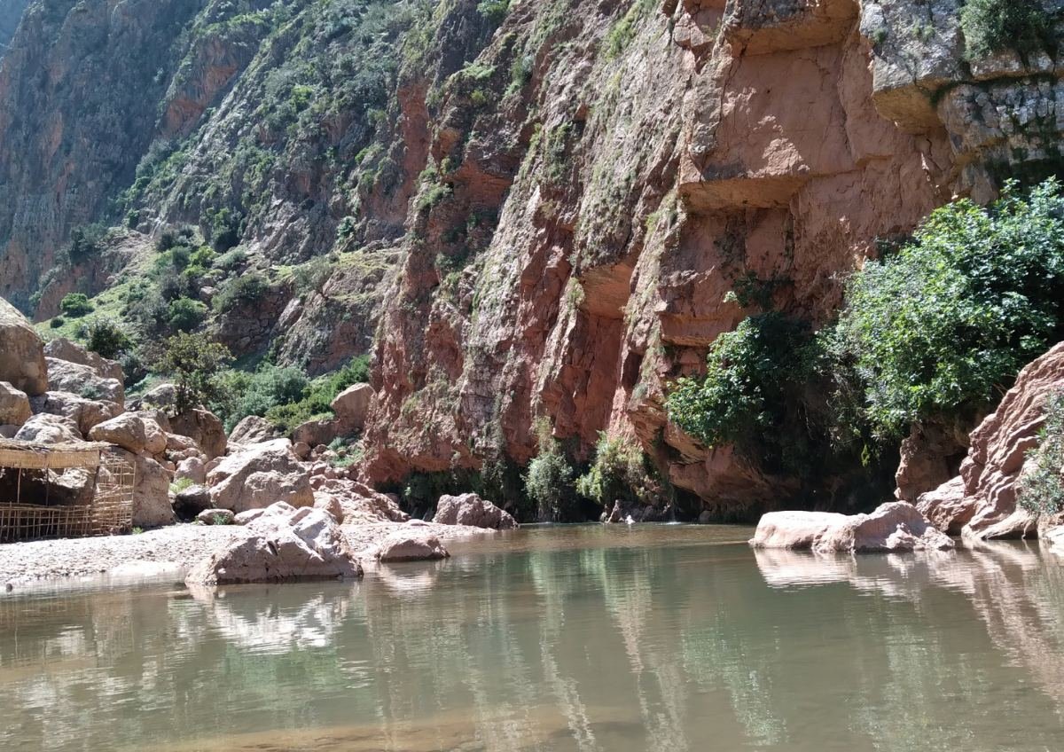 Morocco 4x4 desert tours through golden sand dunes under a starlit Sahara sky