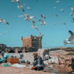 Private Essaouira Day Trip from Marrakech