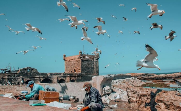 Private Essaouira Day Trip from Marrakech