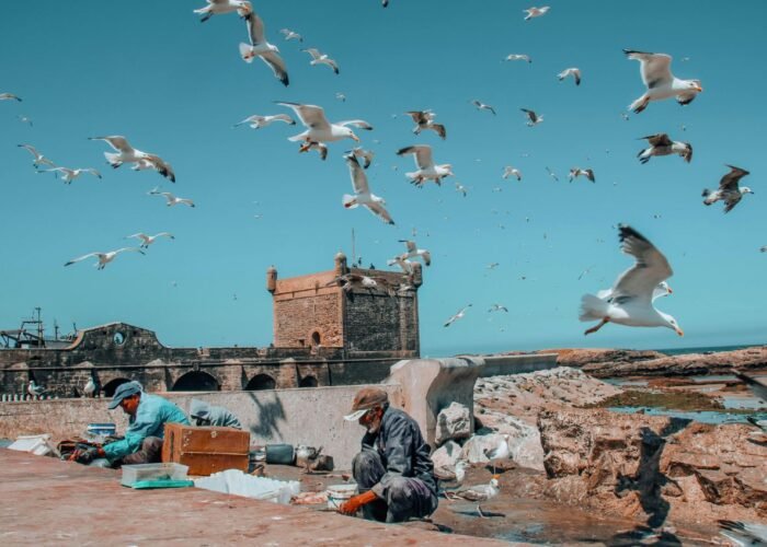 Private Essaouira Day Trip from Marrakech
