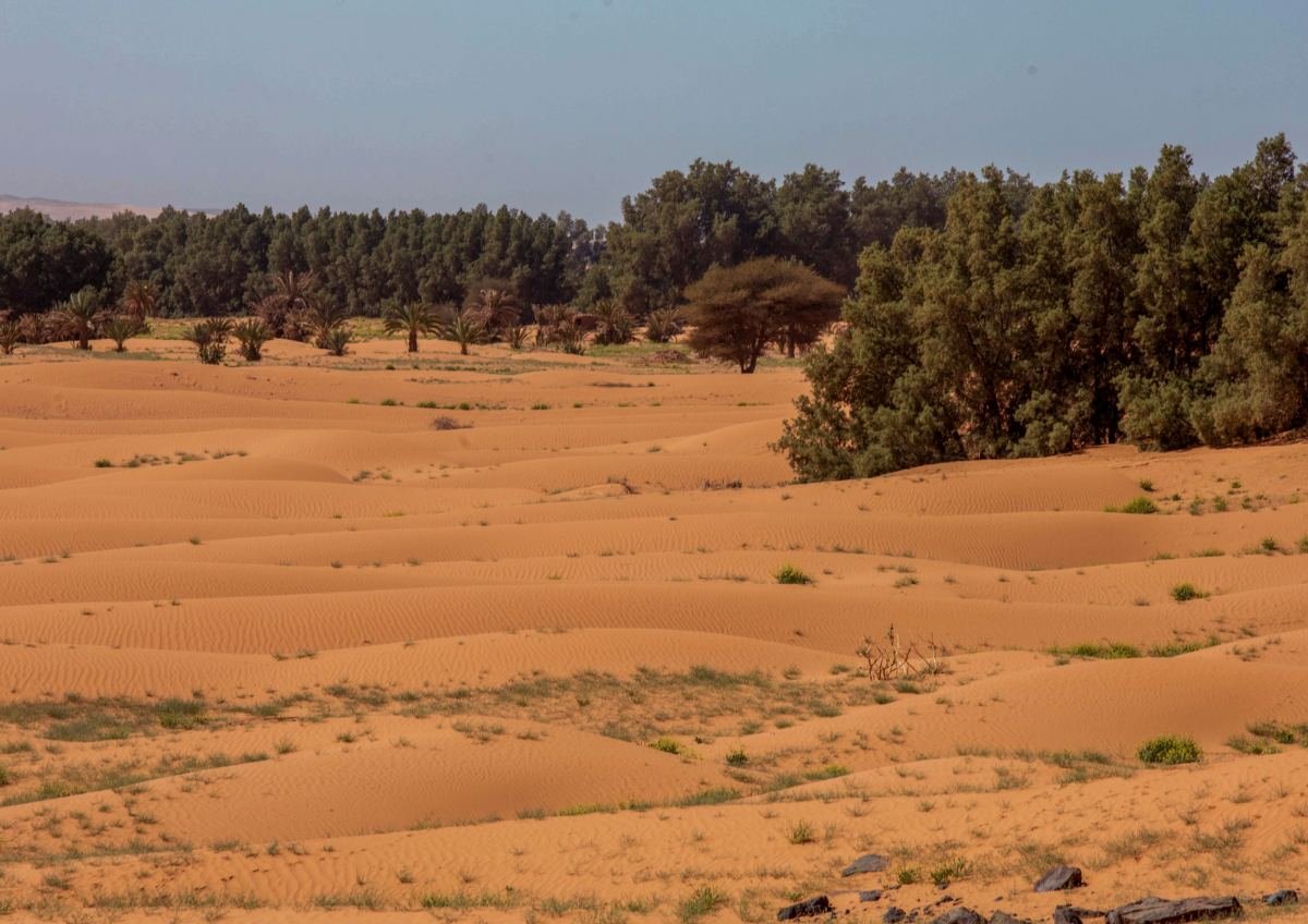 Morocco nature tours offering an authentic and memorable Moroccan travel experience