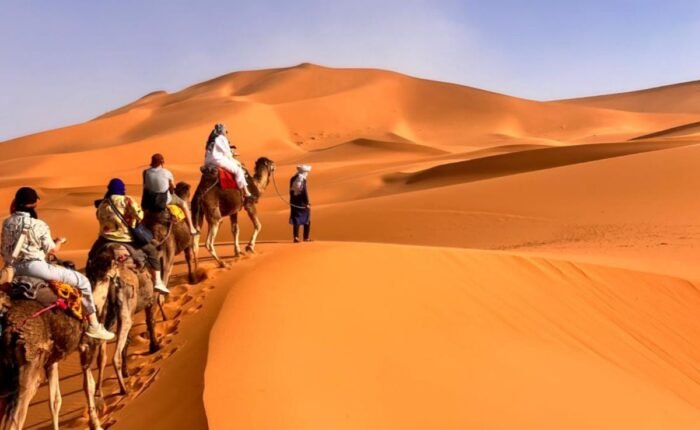 Marrakech to Fes Desert Tour 2 Days