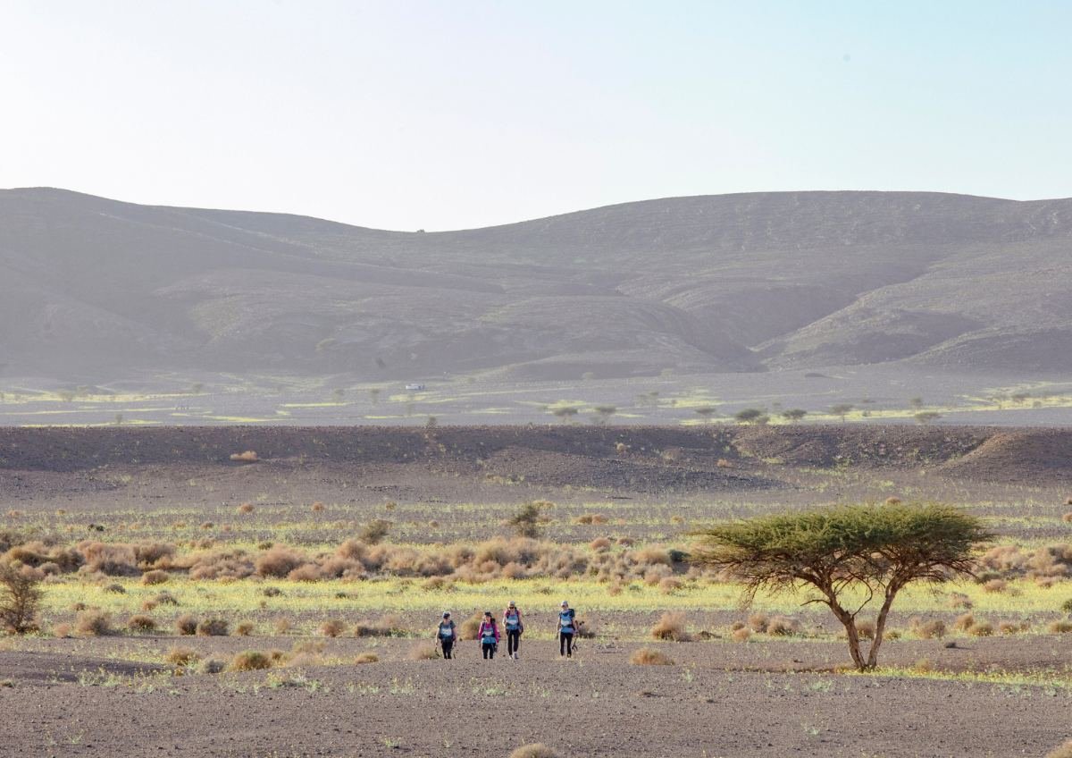 Morocco private driver tours showcasing Morocco's diverse landscapes and rich culture
