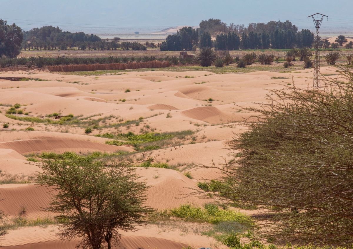 Morocco transport services highlighting Morocco's best destinations and travel experiences