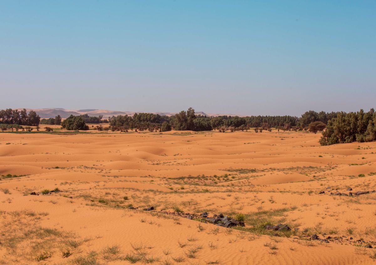 Morocco travel logistics combining culture adventure and authentic Moroccan hospitality