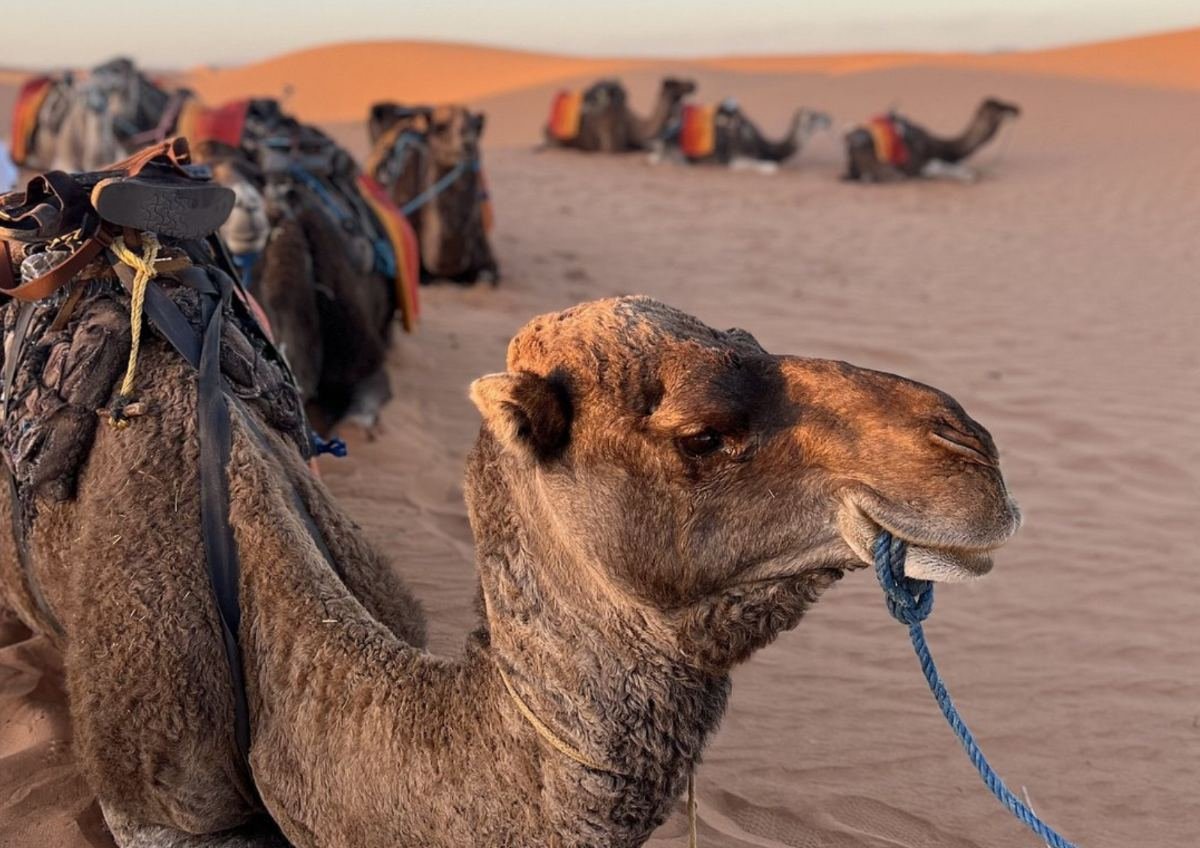 morocco weekend getaways Morocco weekend getaways with expert local guides and unforgettable travel moments