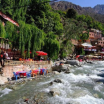 Private day trip from Marrakech to the Ourika Valley